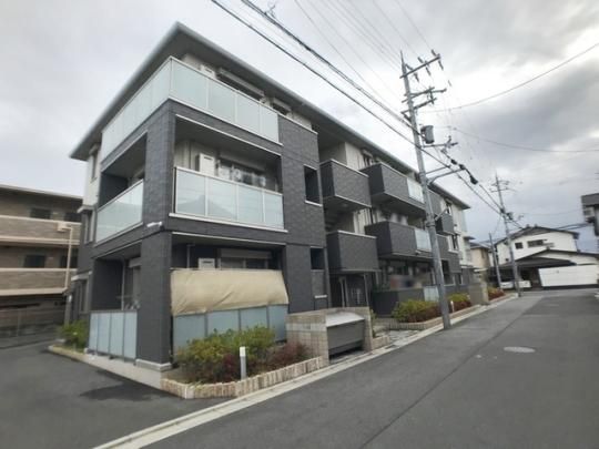 �v���W�[������ �O�ώʐ^