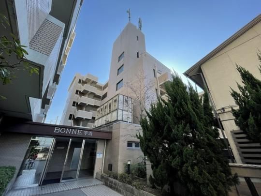 �{�[���F���U���� �O�ώʐ^