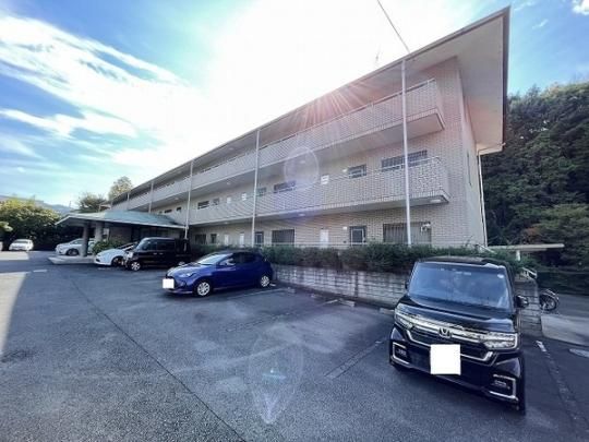 CASA VERDE �O�ώʐ^