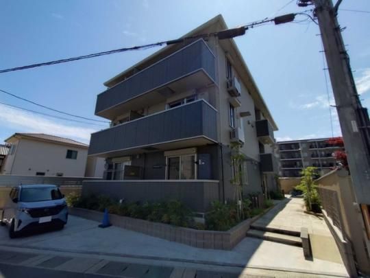 LuSole���R �O�ώʐ^