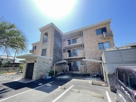 �P�C�Y���]���t���X �O�ώʐ^