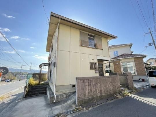 MAYUMInEX166ٕxkp Oώʐ^