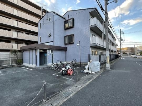 �v���l�[�h�}�L�V�} �O�ώʐ^