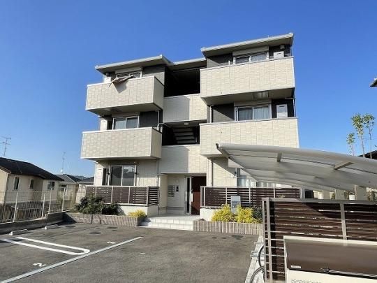 ���t�B�[�l�ؔ� �O�ώʐ^