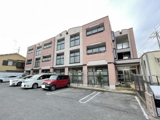 �N���[���ETY �O�ώʐ^