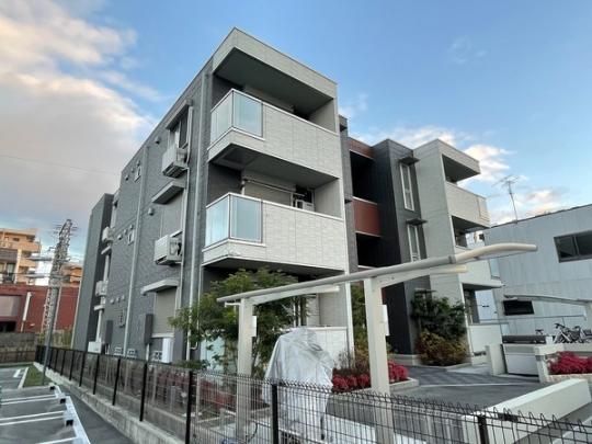 �Z�W���[���_�y�c �O�ώʐ^