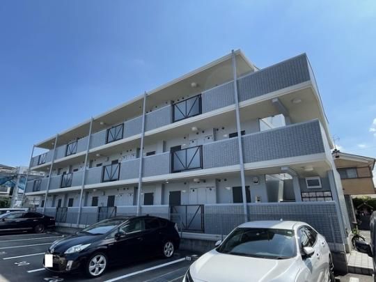 �R���hENOKI �O�ώʐ^