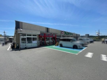  �t�����h�}�[�g�F���c���X:1955m