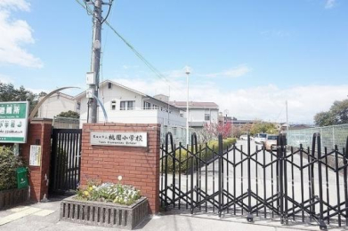  ���c�ӎs���������w�Z:576m